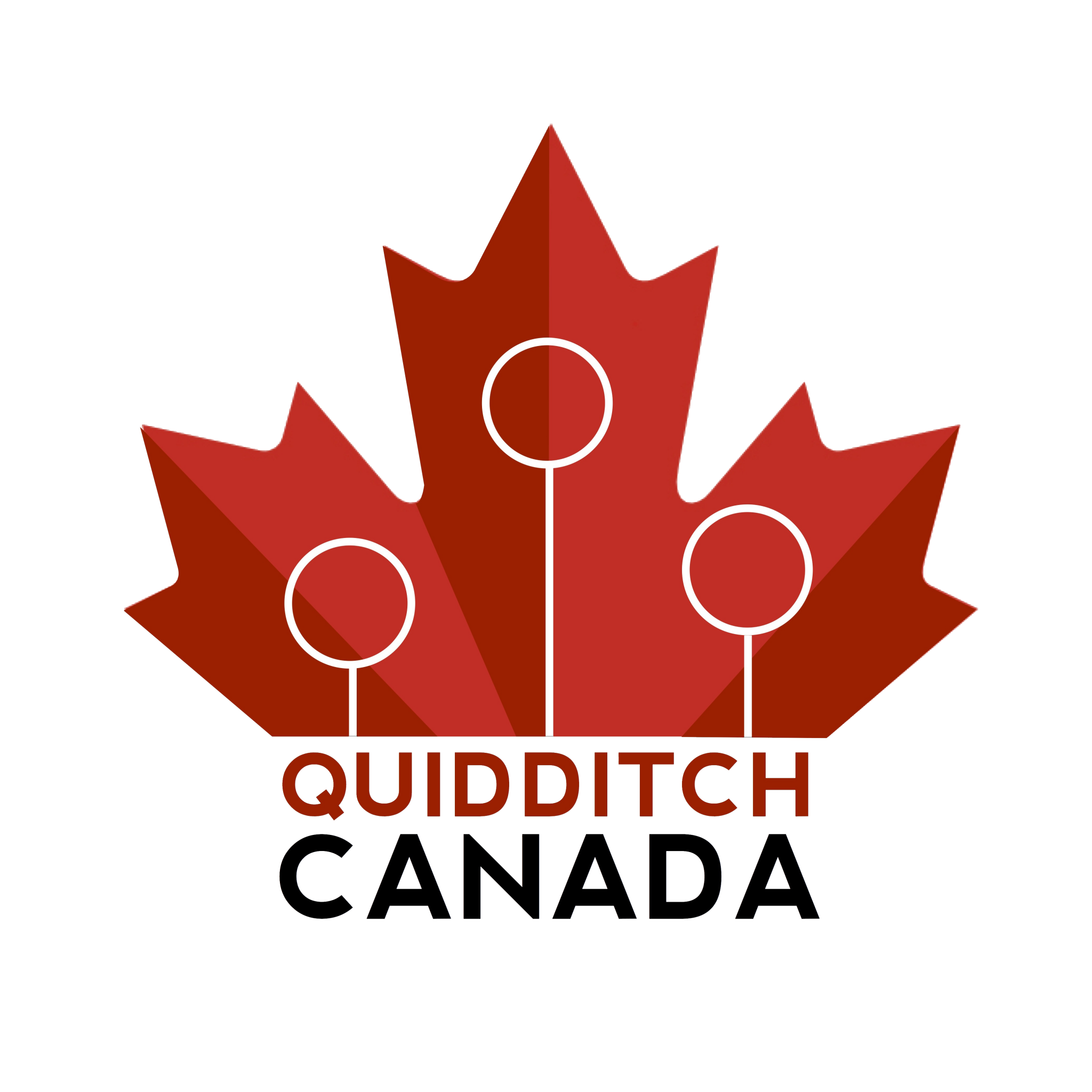 Quidditch Background posted by Ethan Tremblay